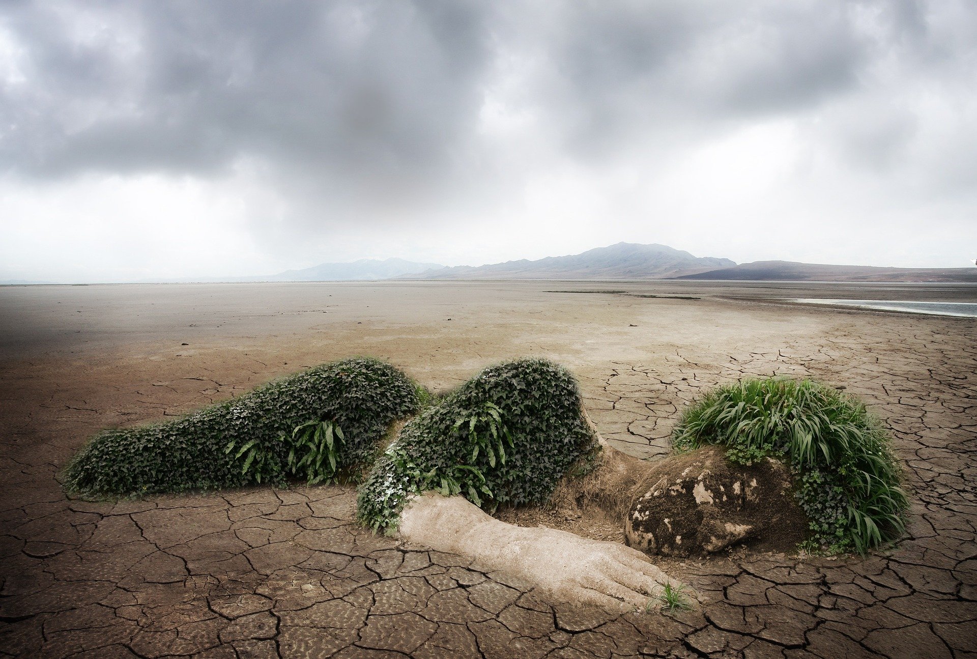 - Konsekvenserne‌ af klimaforandringer og behovet for dealing with: En dybdegående⁢ analyse